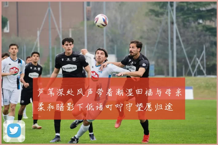 芦苇深处风声带着潮湿田福与母亲柔和暗影下低语叮咛守望愿归途
